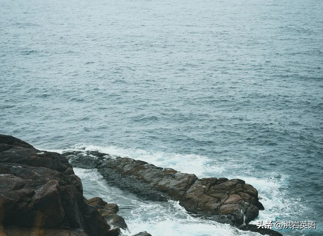 宝藏自学网站大全免费网址,课程学习宝藏网站