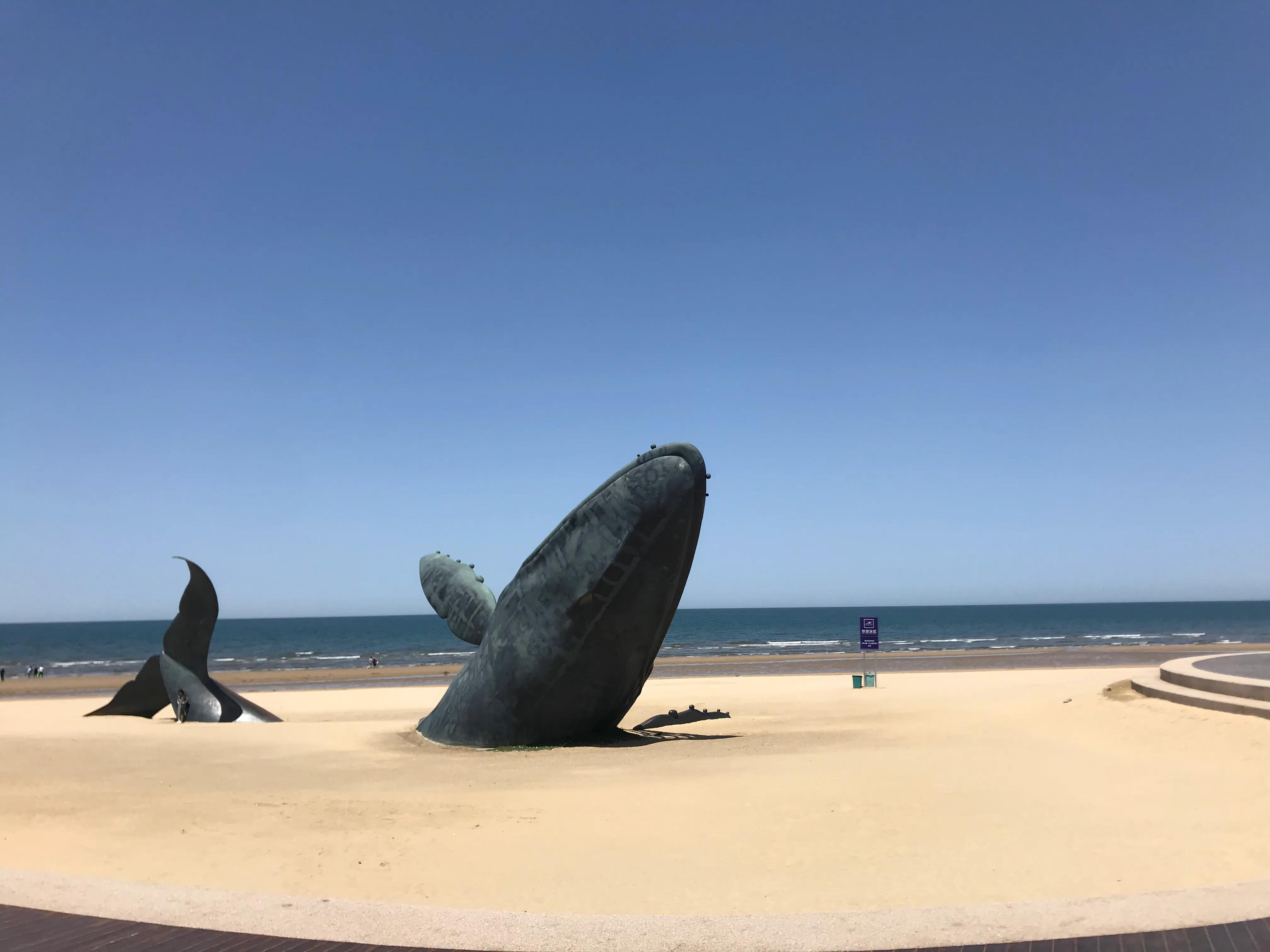 烟台的海水清澈吗,烟台的海和威海的海哪个好