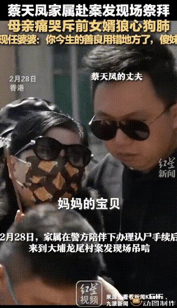蔡天凤案件谈婚姻,蔡天凤丈夫和母亲