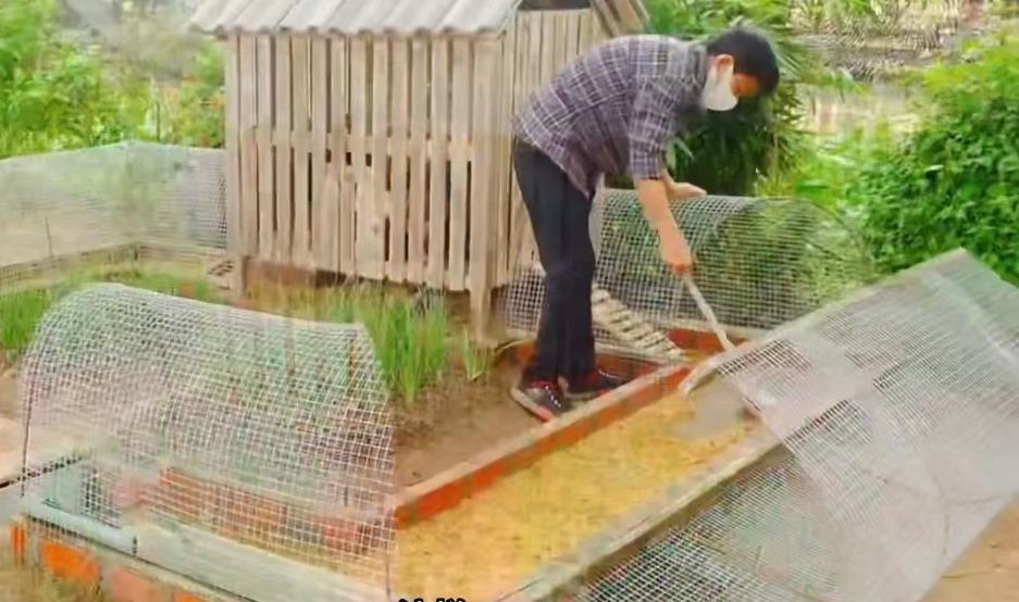 小哥把竹子编织成长方形鸡笼,小哥建造鸡舍