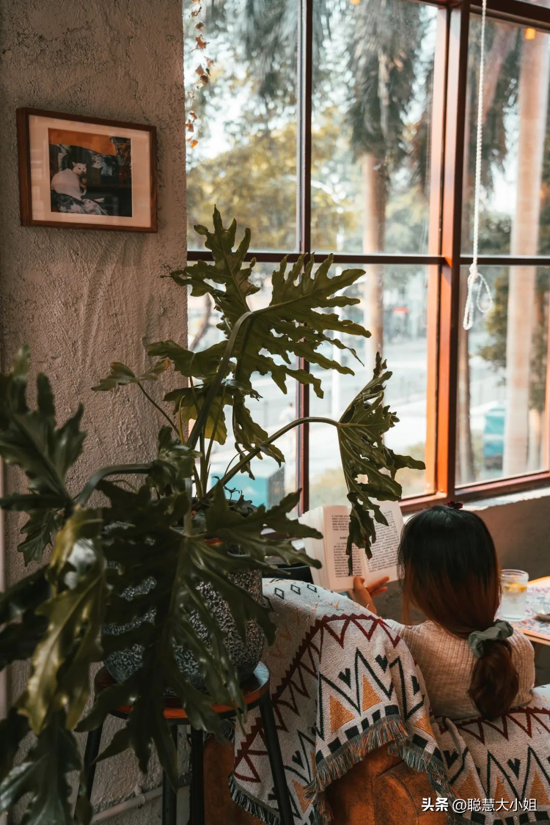 珠海为啥叫百岛之城,珠海有百岛之市的美誉东澳岛