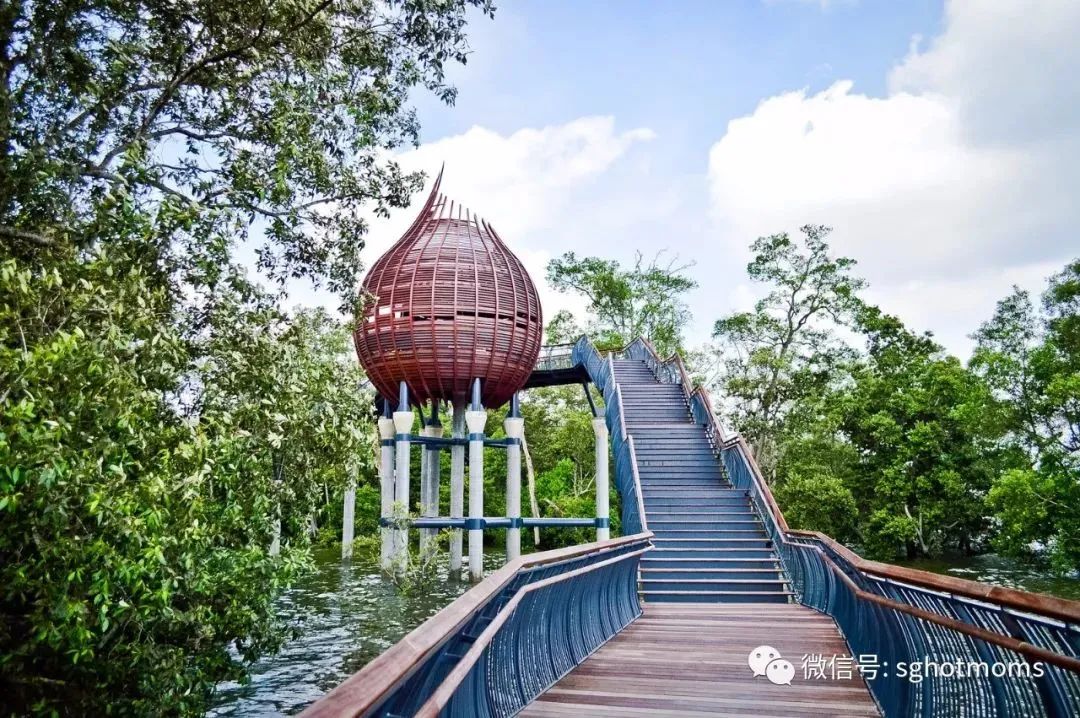 新加坡遛娃免费景点推荐一下,新加坡周末遛娃