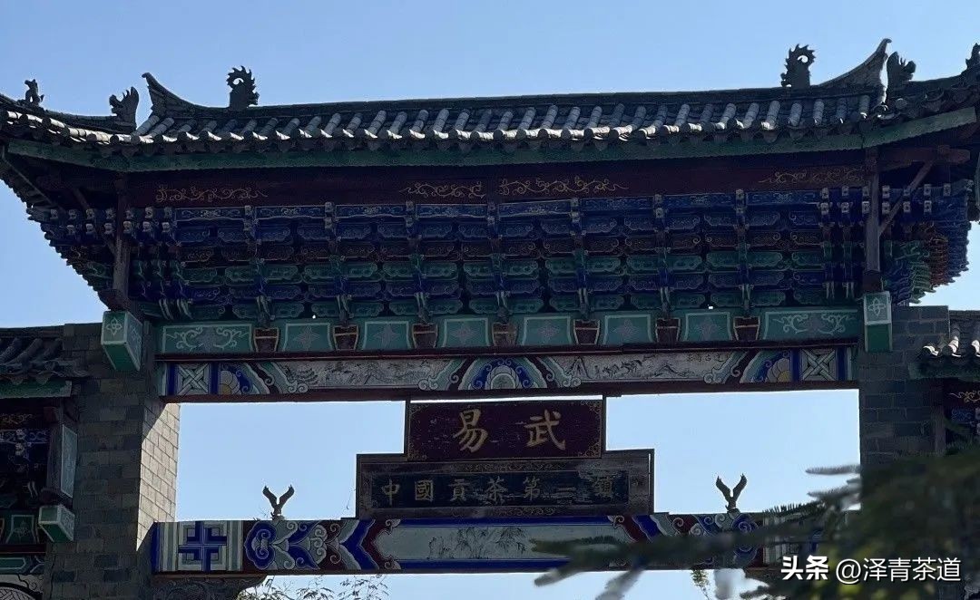 易武六大茶山茶的特点,易武茶的特点