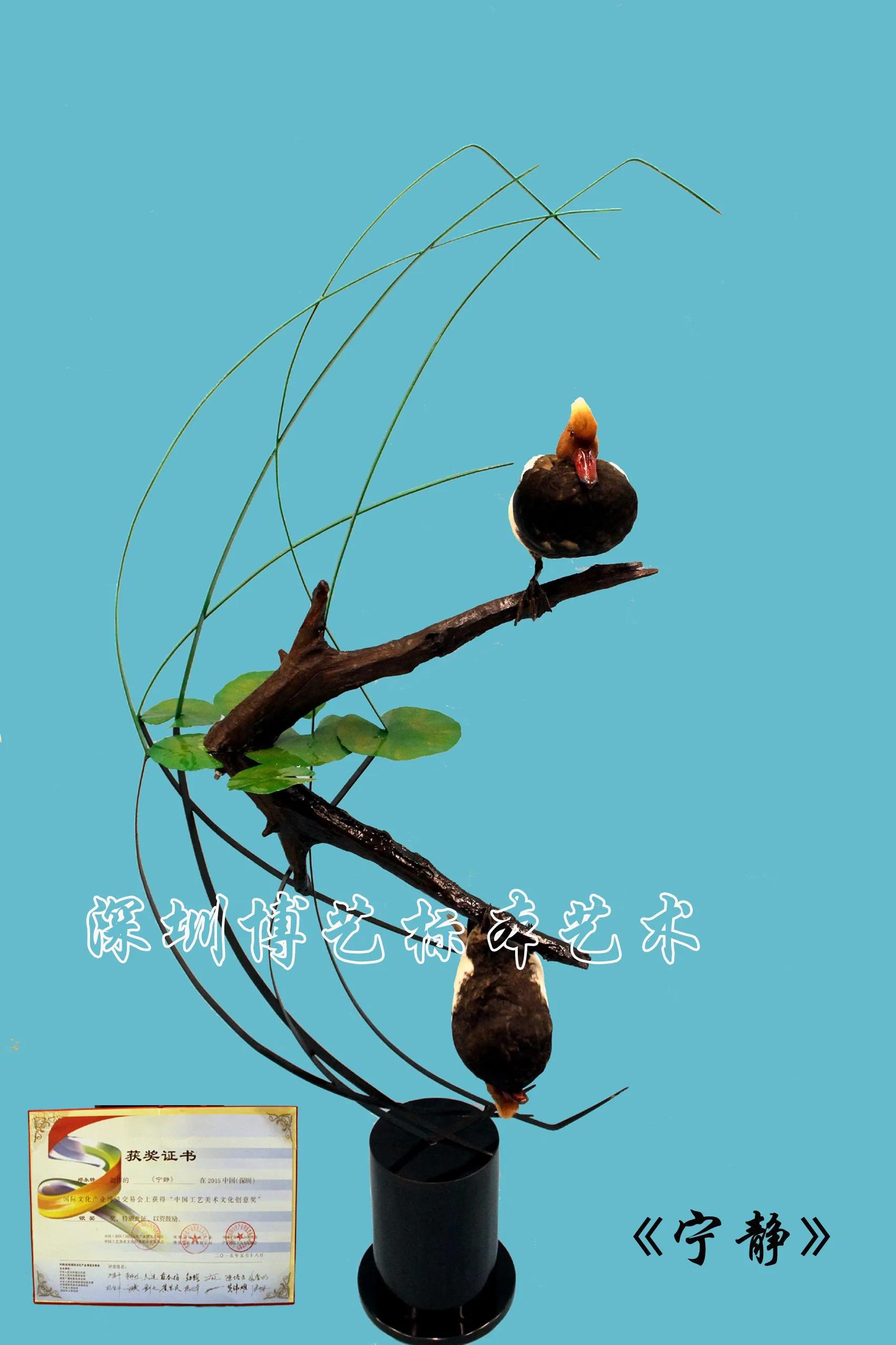 复制宠物赚“情感钱”，山村小伙走出条不同寻常人生之路