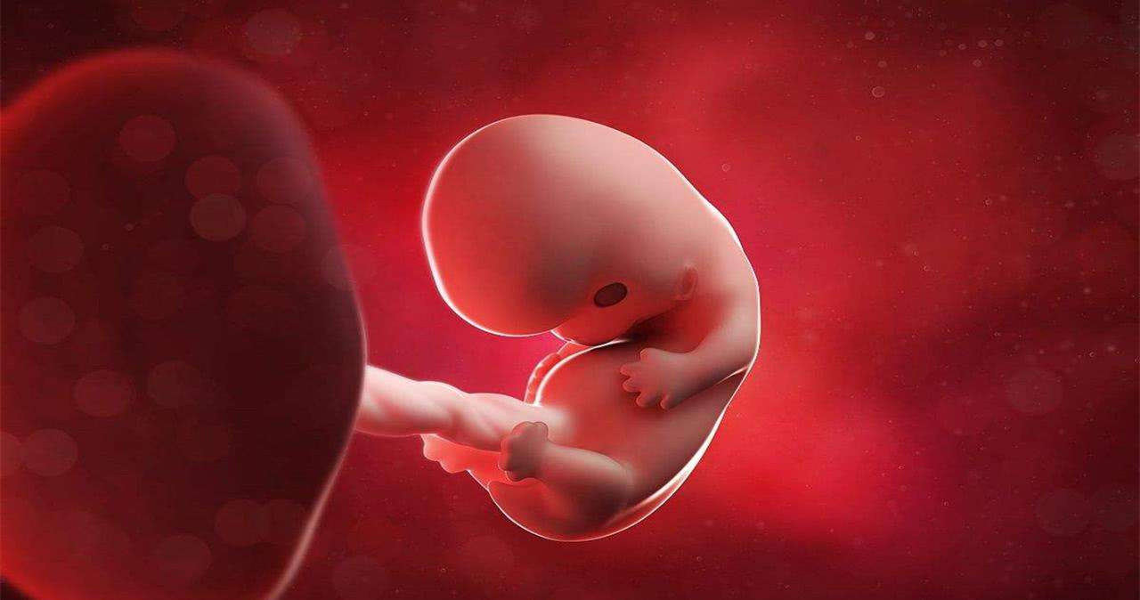 喂奶这件事，女人能行，男人能行吗？