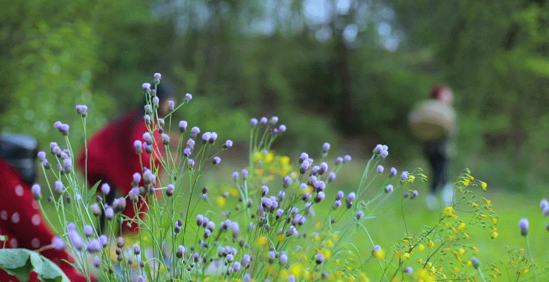 上巳节古老而有诗意的三月三,人间最美三月三