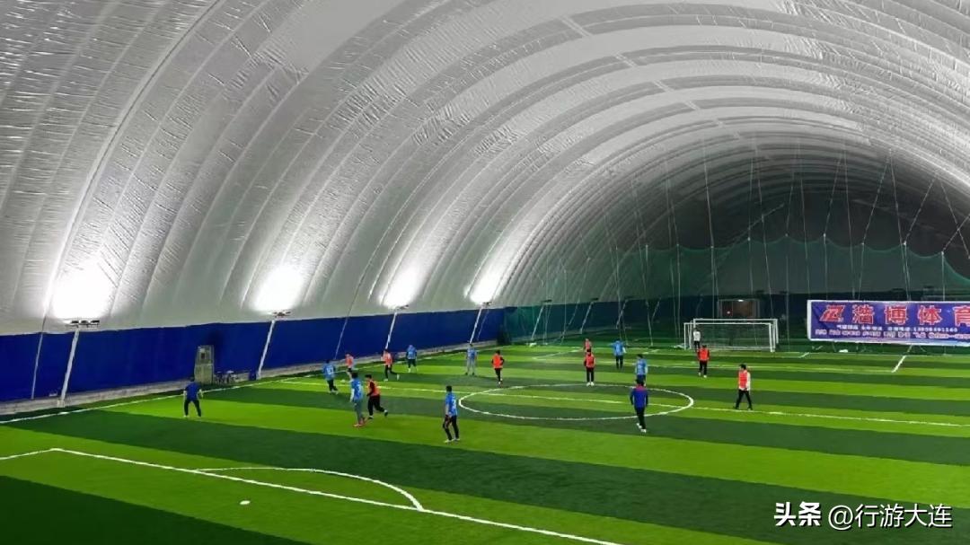 世界杯足球场比赛场地,大连世界杯专业足球场