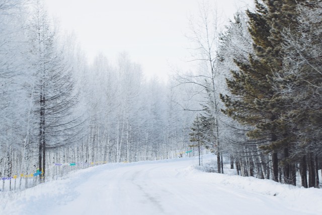 东北和黑龙江是一个省吗,东北三省最北的省