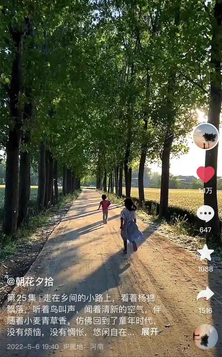 2020年的56个瞬间,我见过一场海啸