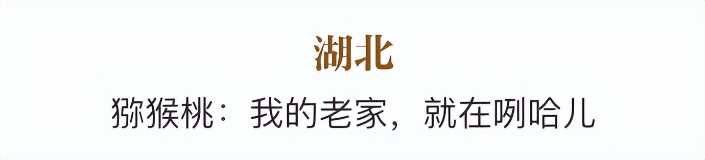 国产猕猴桃和进口奇异果,国产奇异果猕猴桃