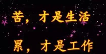 2023年02月27日星期一农历:癸卯年【兔年】二月初八八九第5天