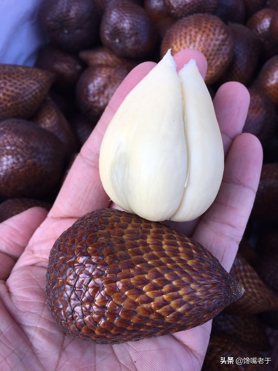 海南旅游水果有哪些特点,去海南旅游必买的十大水果