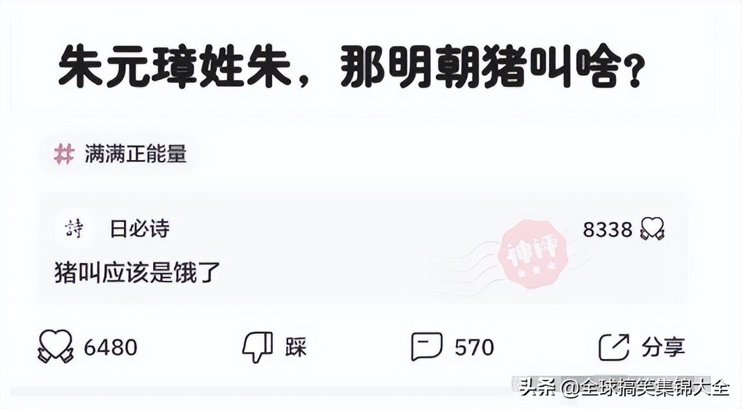 神回复不按套路出牌,神回复答出的都是高手