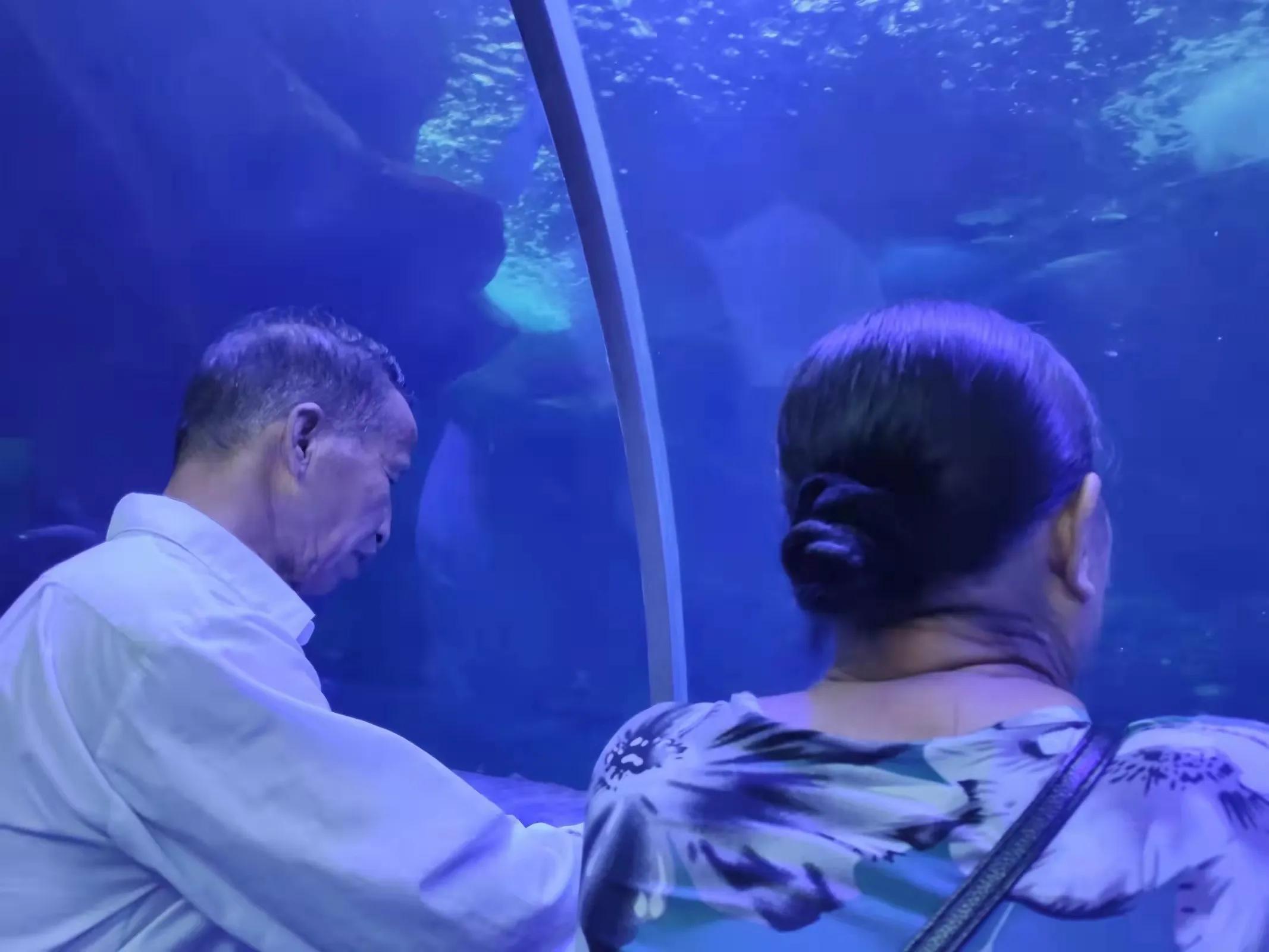 认识一下从零开始的生活,空城的创业日记