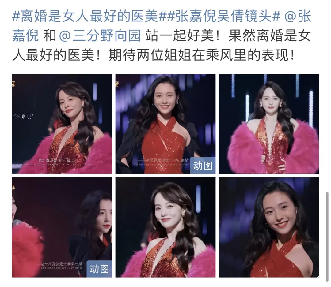 小白花被玫瑰嘲笑故事,小白花被玫瑰嘲笑