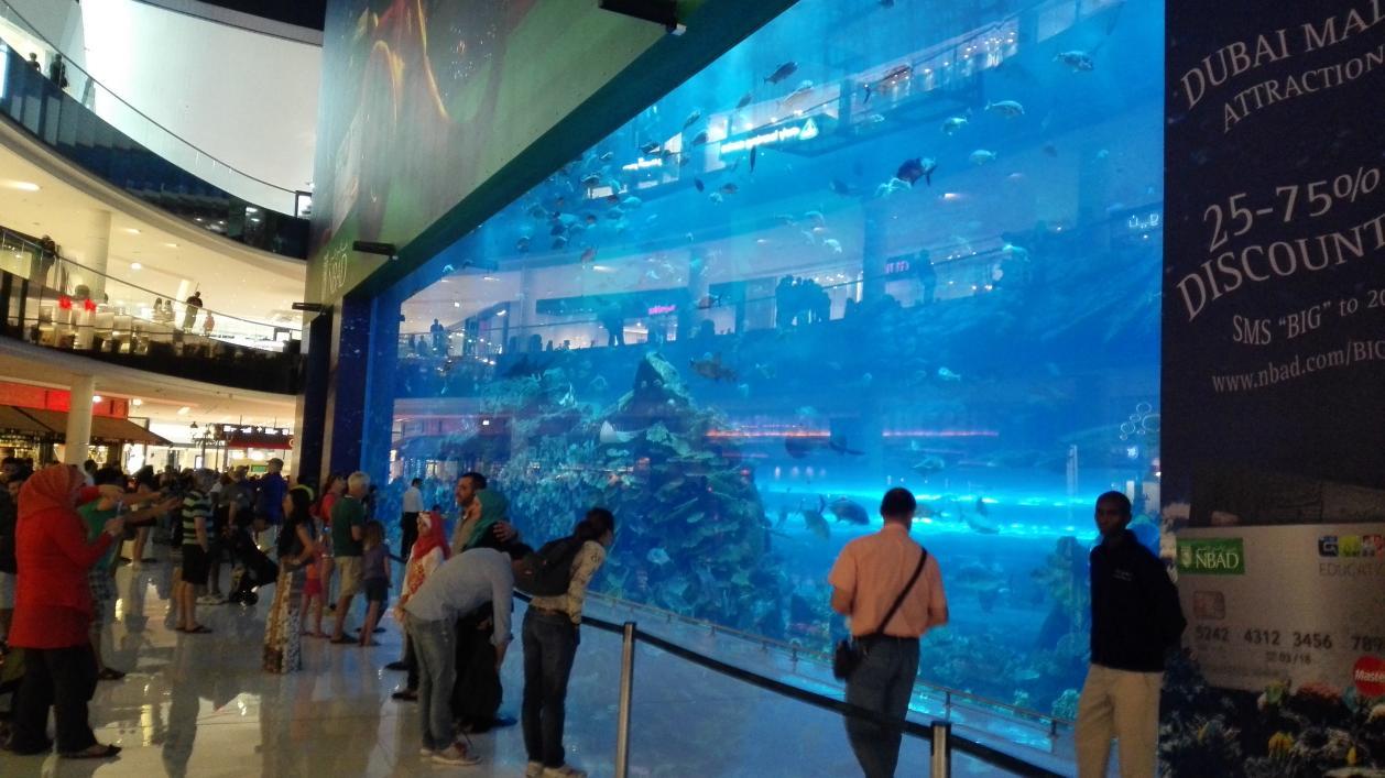 走进阿联酋空乘培训大揭秘,走进阿联酋迪拜