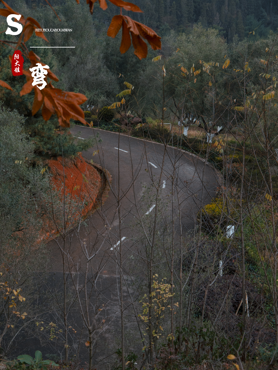 海口世纪公园游玩攻略一日游,昆明海口石城公园路线图