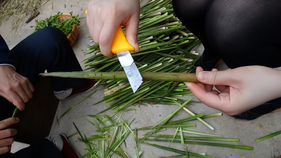 山民教剥竹笋只需3步轻松剥出笋,每日农经挖笋技巧视频