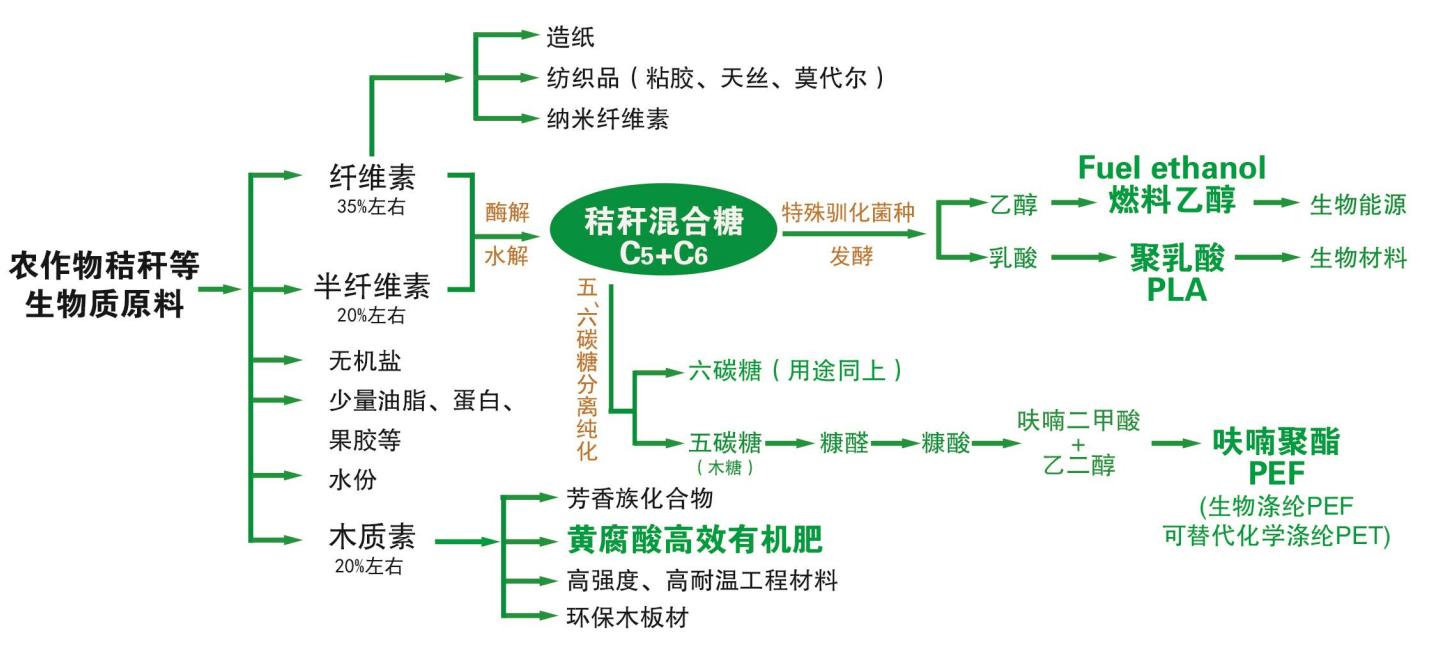 秸秆提炼聚乳酸,小秸秆大利用