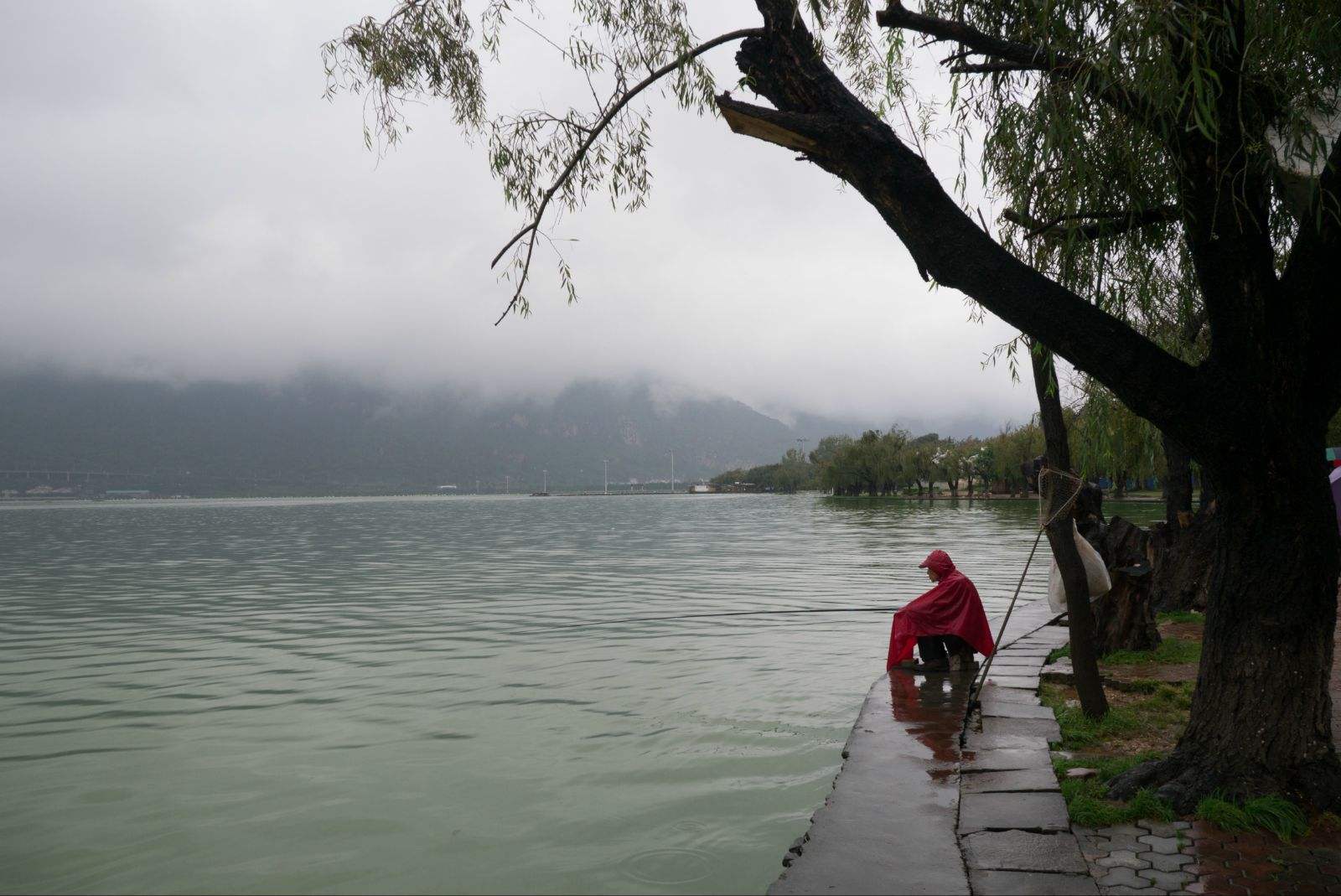 浅谈夏季雨中作钓，鱼儿成群且口好，细节留意把护爆