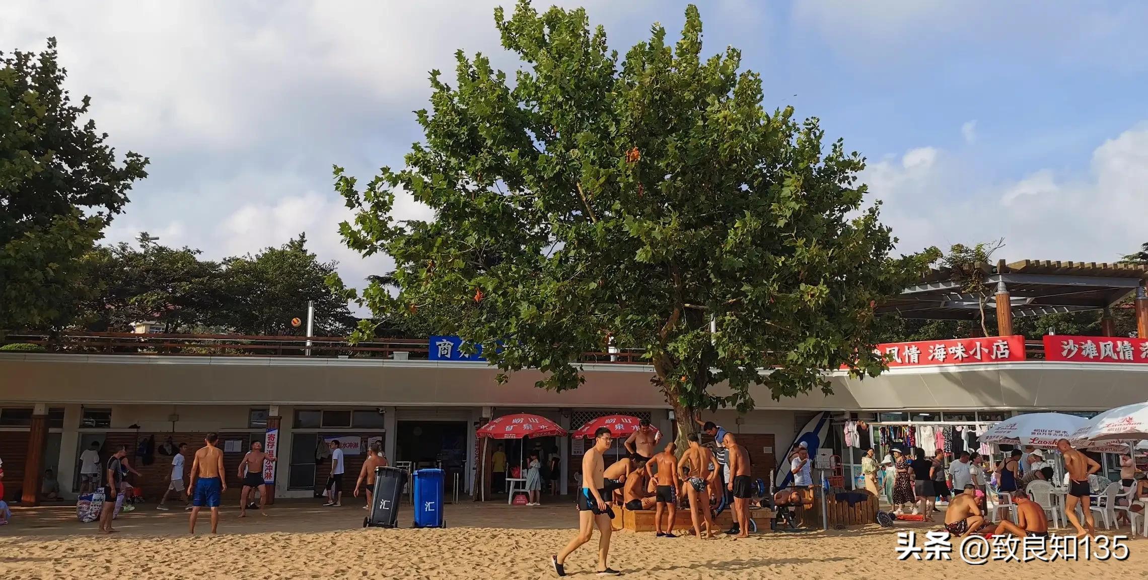 青岛沙滩和大连沙滩,青岛沙滩和日照哪个好看