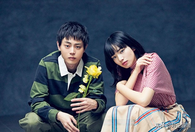 菅田将晖最新悬疑电影,菅田将晖光头电影