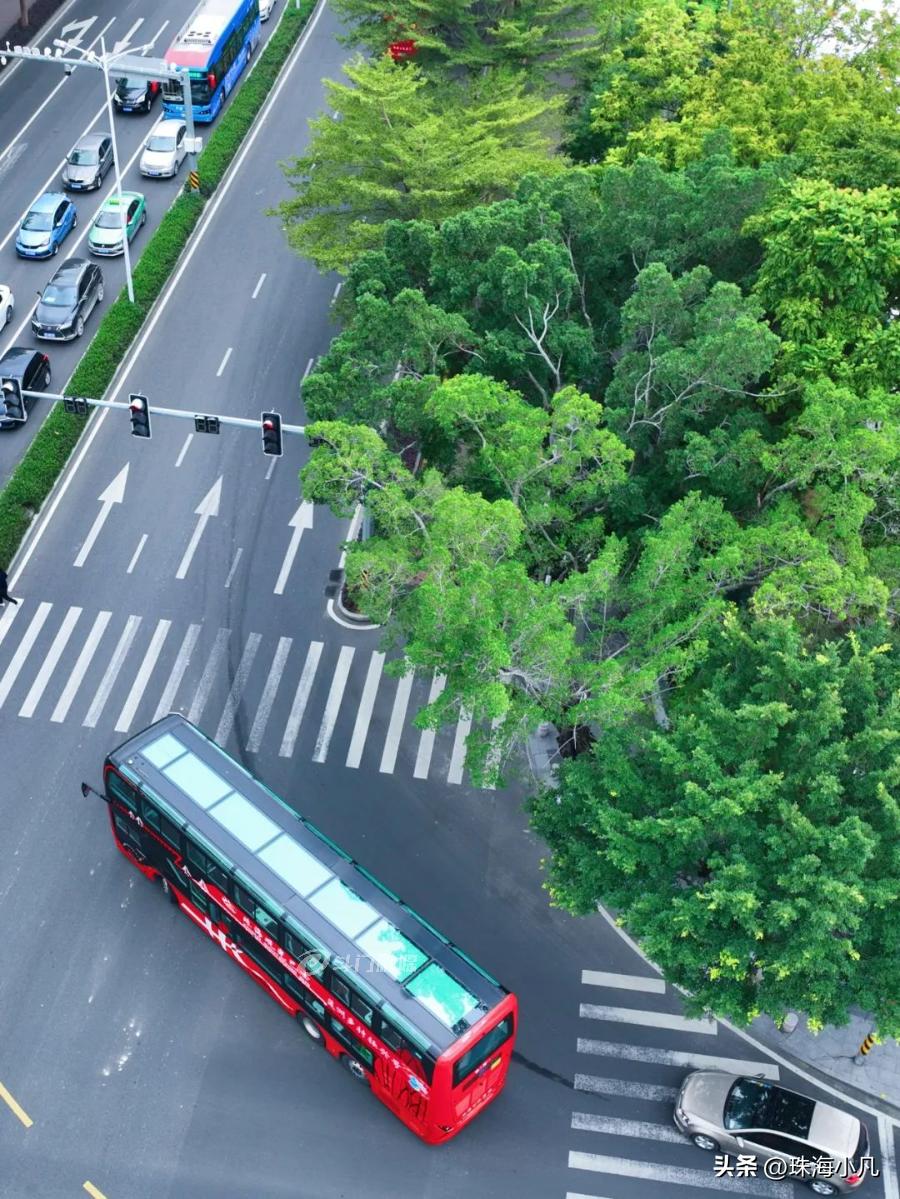 刚刚开通！莲洲⇋香洲！10元往返+区域无限次…