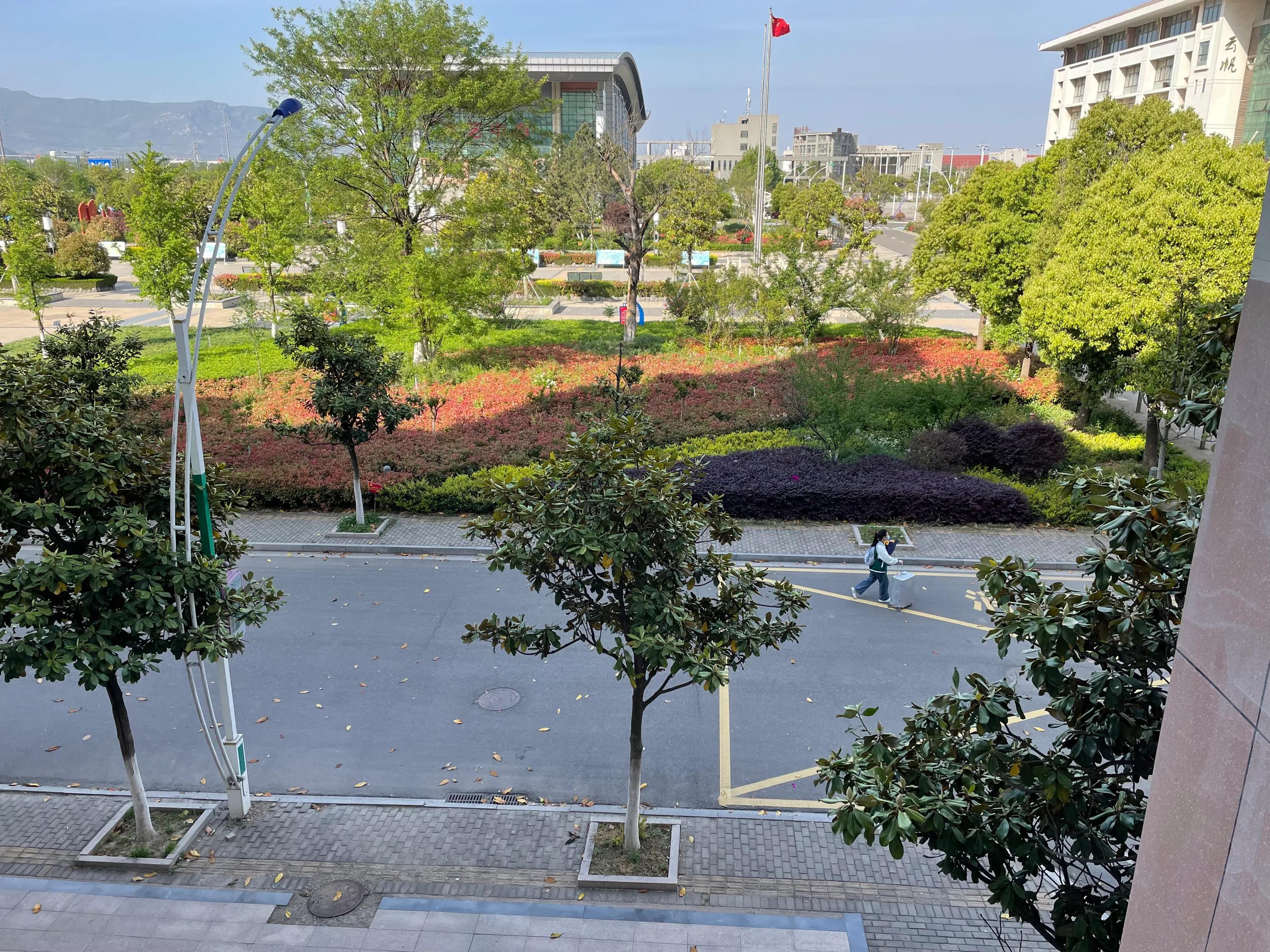 新学年第二学期No.243高三学生入校园心得体会布置完