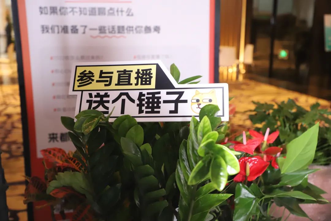 我们和26位新媒体朋友，来了一场接力聊天直播