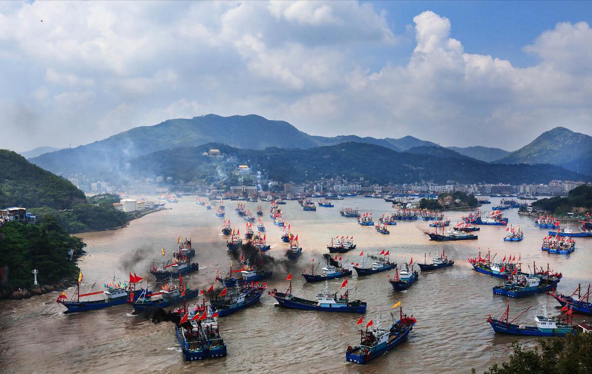 每年放流大黄鱼,现在野生的大黄鱼是以前放流的吗