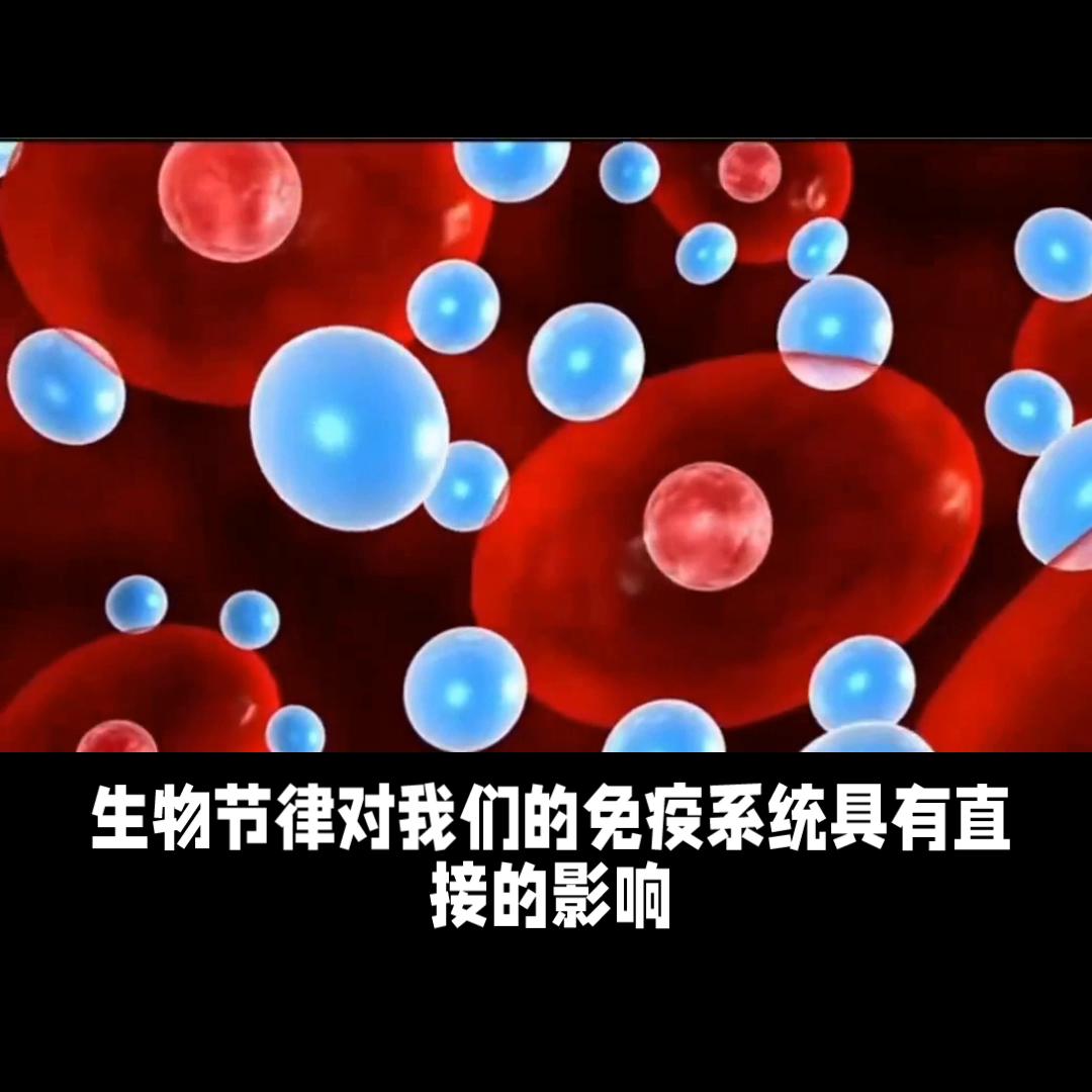 调整生物钟9个最佳时间,长时间不规律怎么调整生物钟