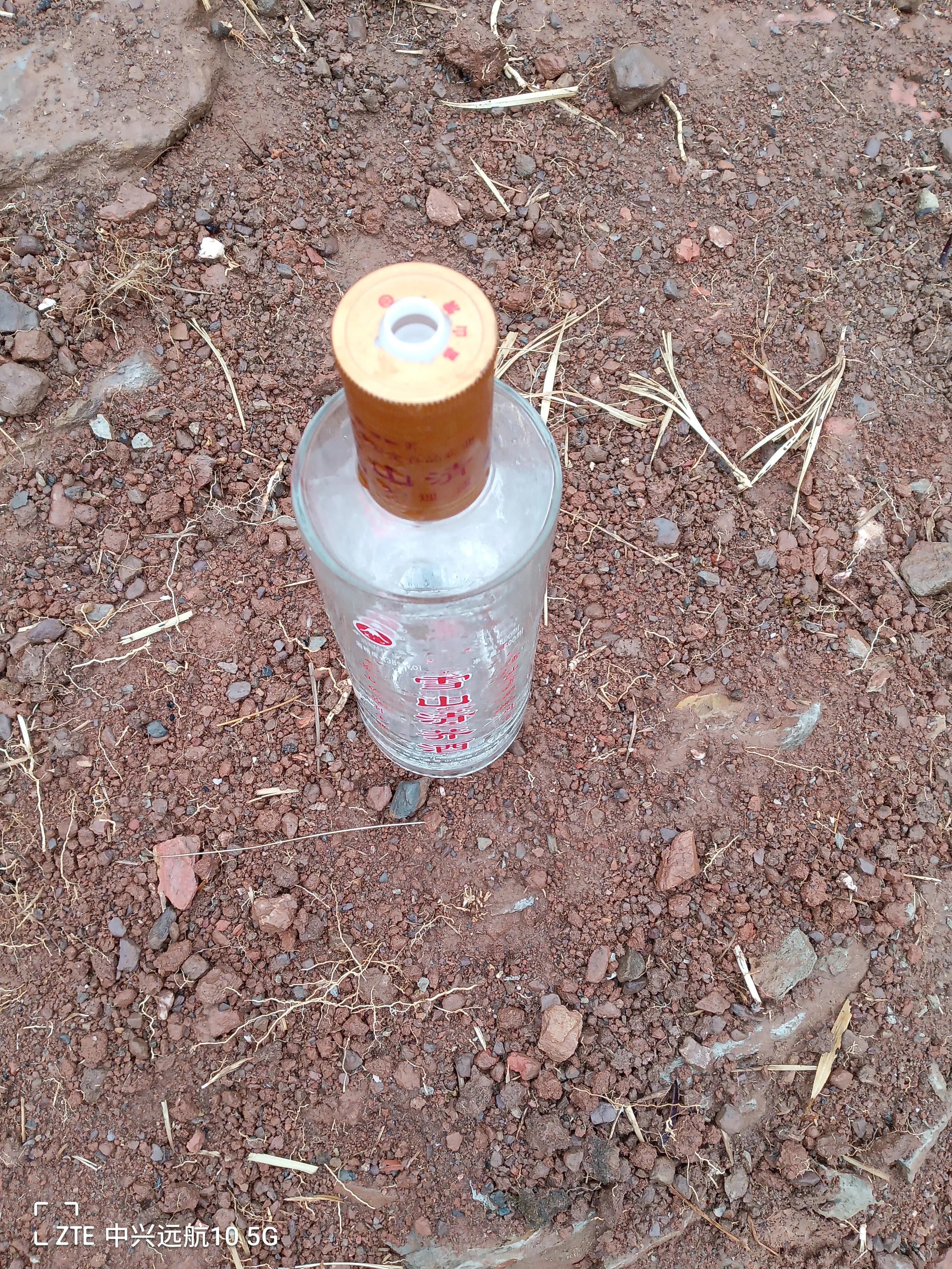 萍聚完整版本,萍聚完整版全集