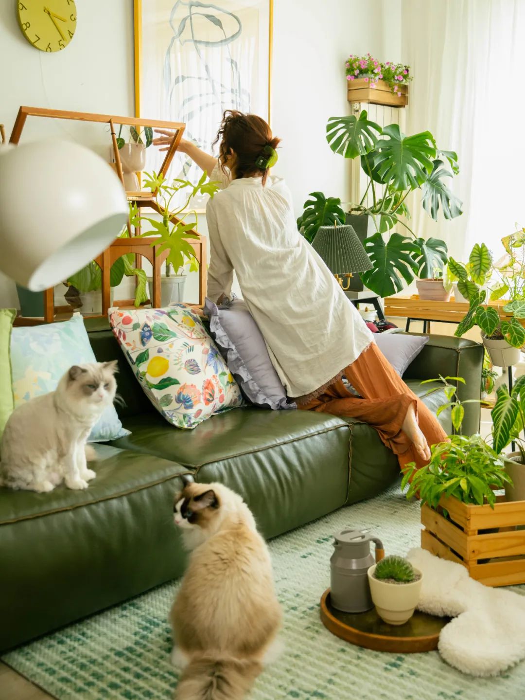 90后妈妈花3年时间,在北京打造室内“小森林”,满屋绿意