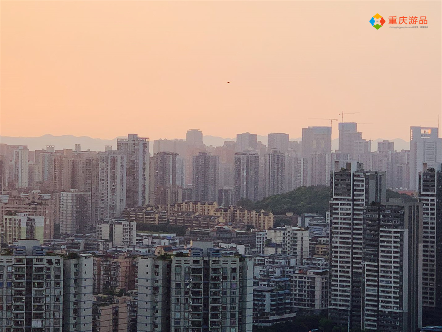 重庆2023年gdp超过广州了吗,重庆2021年gdp排名各区县占比