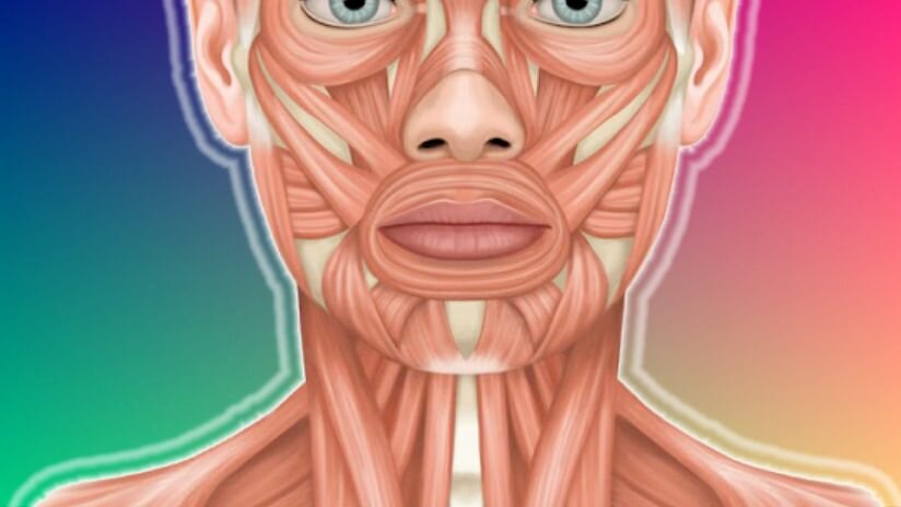 鍦熻眴鎻愭媺绫宠嫃,鍦熻眴鎸夋懇