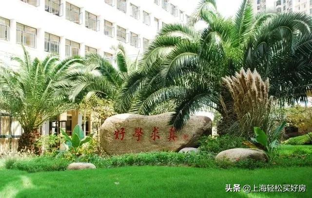 九年一贯制学校高质量发展,中远实验学校小学