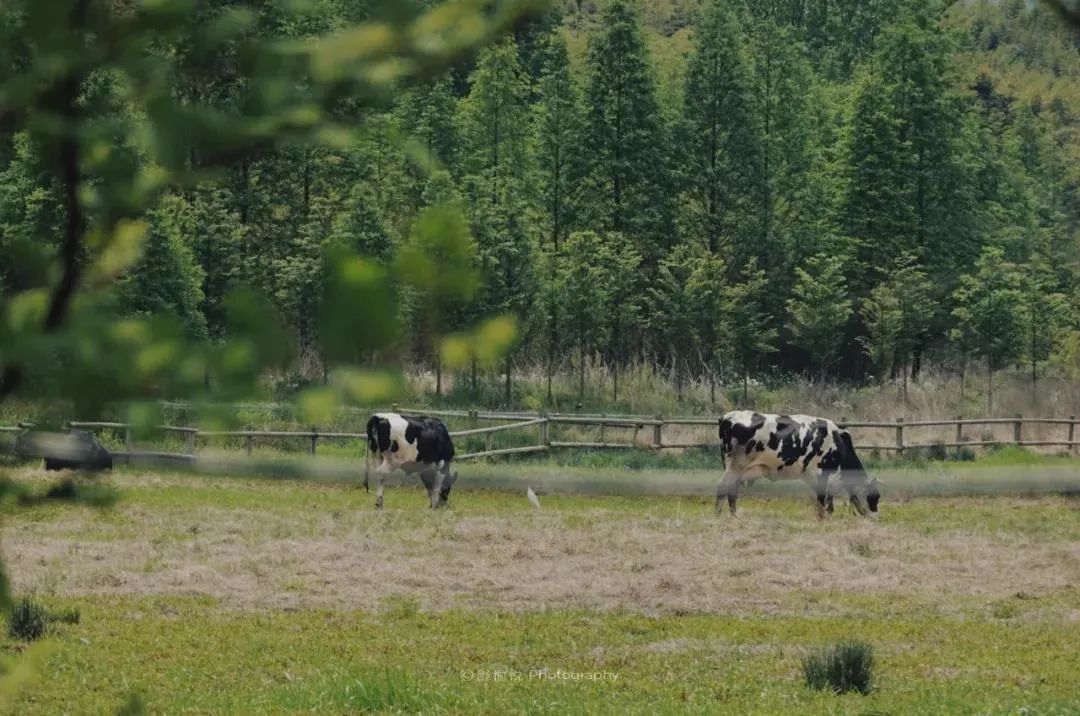 适合夏天避暑旅游的地方,适合夏天避暑的旅游地方