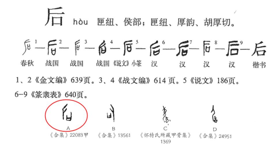 夏朝的时候有没有使用甲骨文,夏朝为何称后