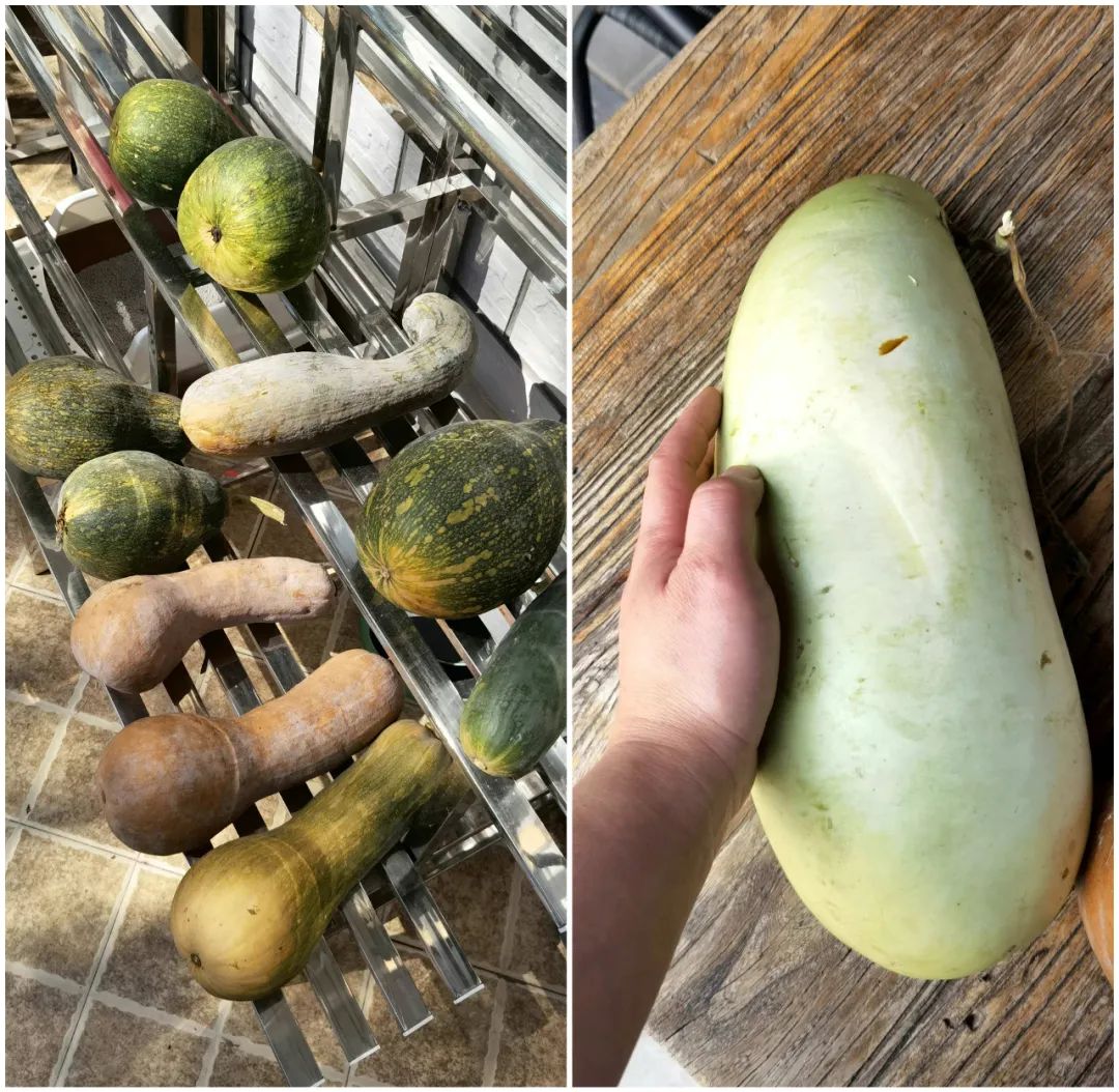 严查春节档电影互撕,春节档电影互撕