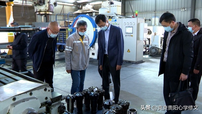 鏋楀钩璐靛窞,鏋楀钩璐甸槼