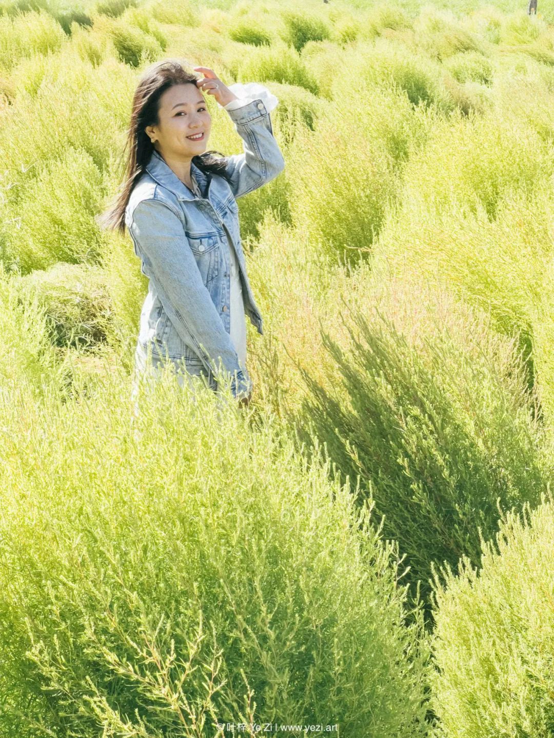 小米拍照和苹果拍照哪个好,苹果拍照和小米拍照对比