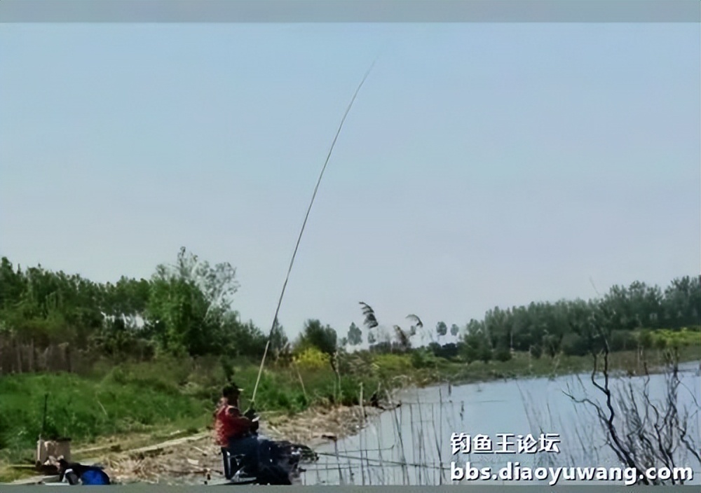 天气变冷怎么钓板鲫,温度升高钓鲢鳙