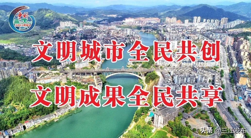 三江县早春茶央视宣传,三江早春第一茶