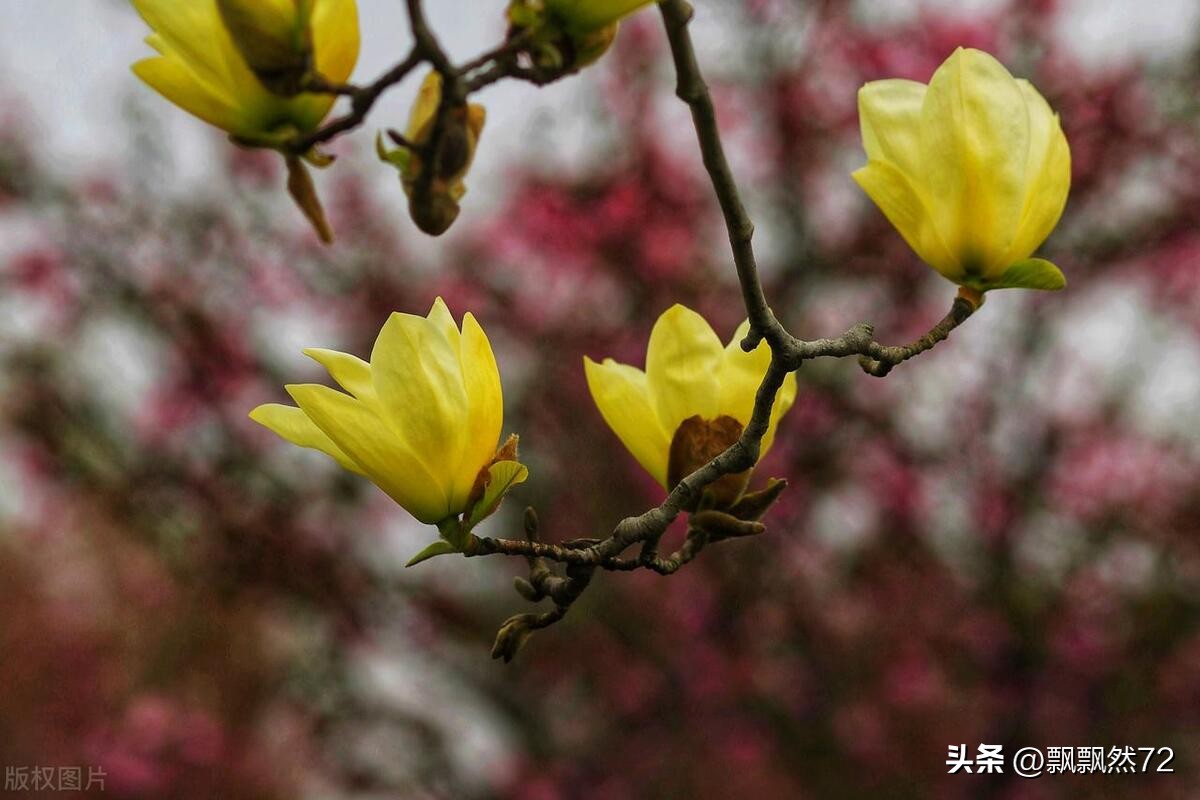 中国爱国节日有哪些,中国重要的爱国节日有哪些