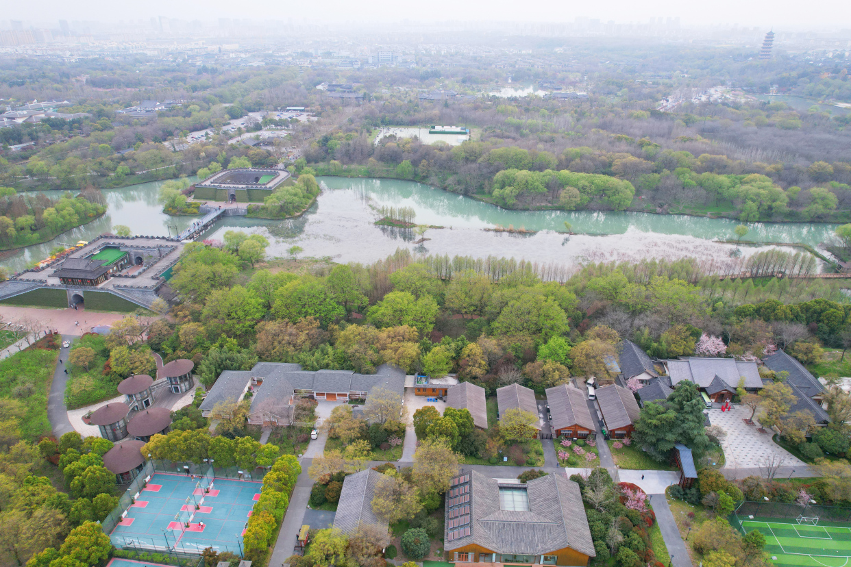 扬州值得去的森林公园,扬州十大免费公园