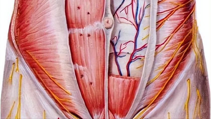 筋膜炎是一种伤不起的痛,有种疼叫筋膜炎