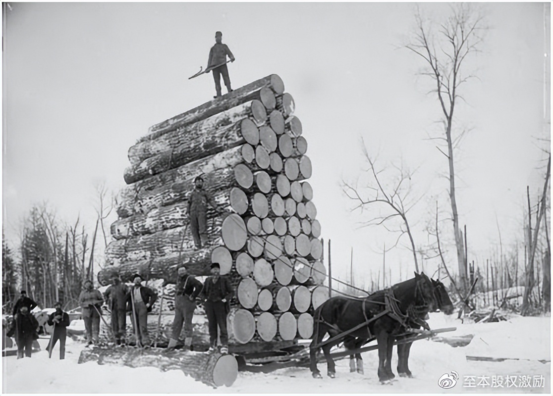 读中国特色现代企业制度有感,学习中国特色现代企业制度有感
