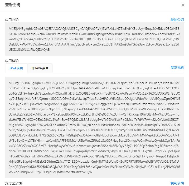 支付宝沙箱环境详细讲解,支付宝沙箱怎么写入项目