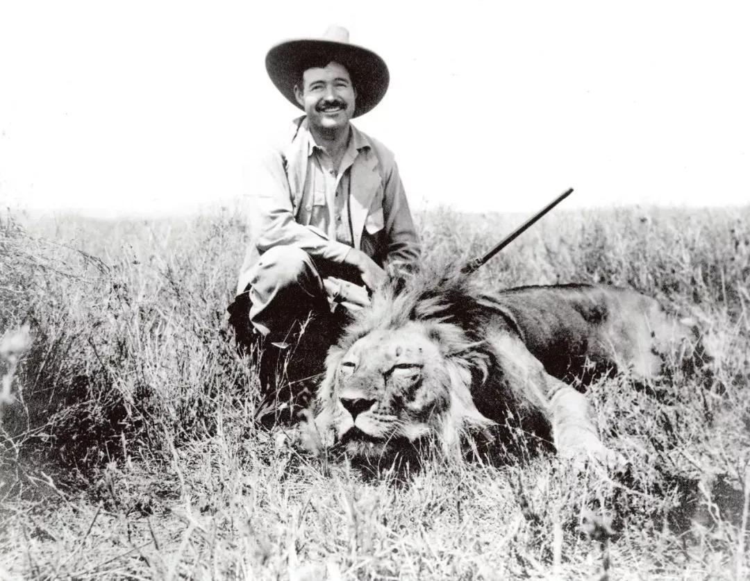 海明威与盖尔霍恩免费,海明威与盖尔霍恩解说