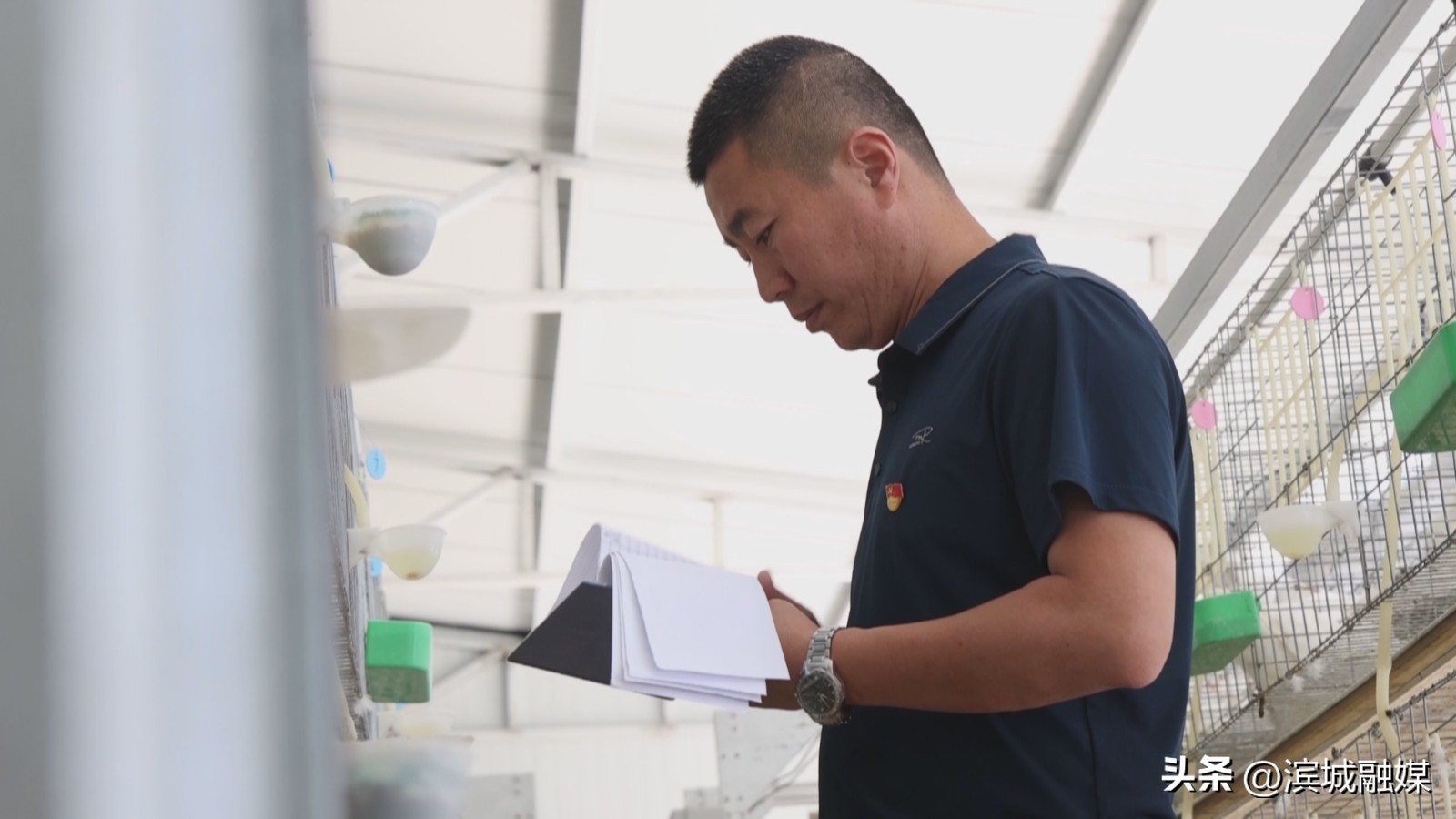 乡村振兴党建引领新做法人民日报,乡村振兴党建引领